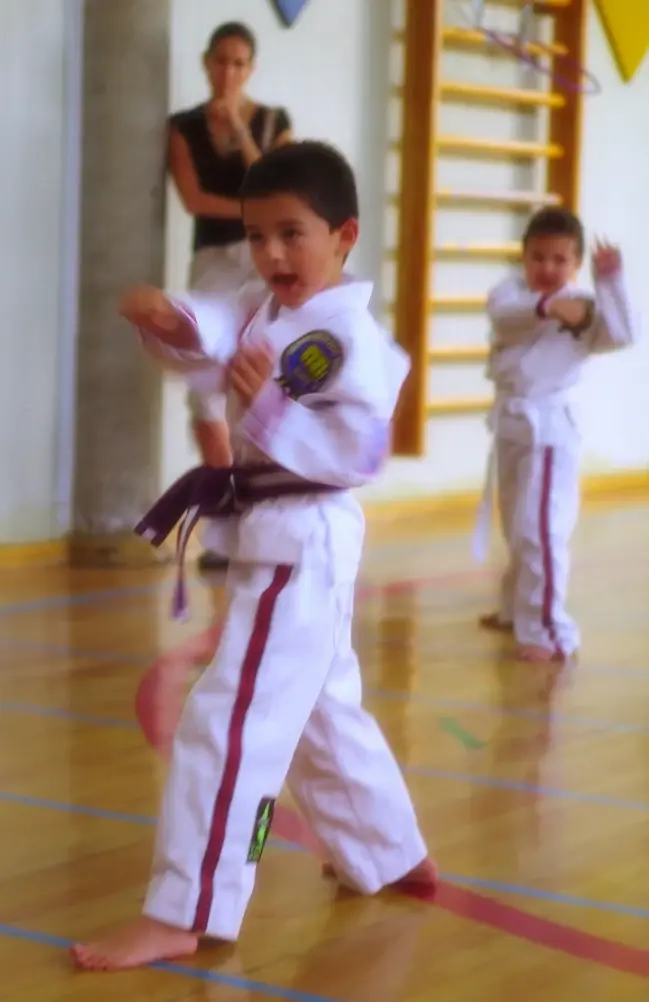 karate primaria